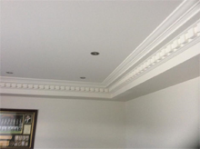 the Geelong Plasterer